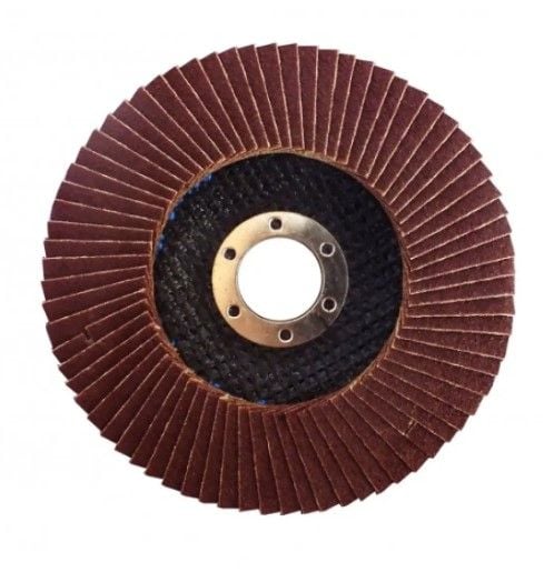 Диск пелюстковий конічний 125мм WERK P100 31137