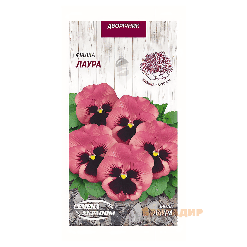 Віолля Лаура 0,05г