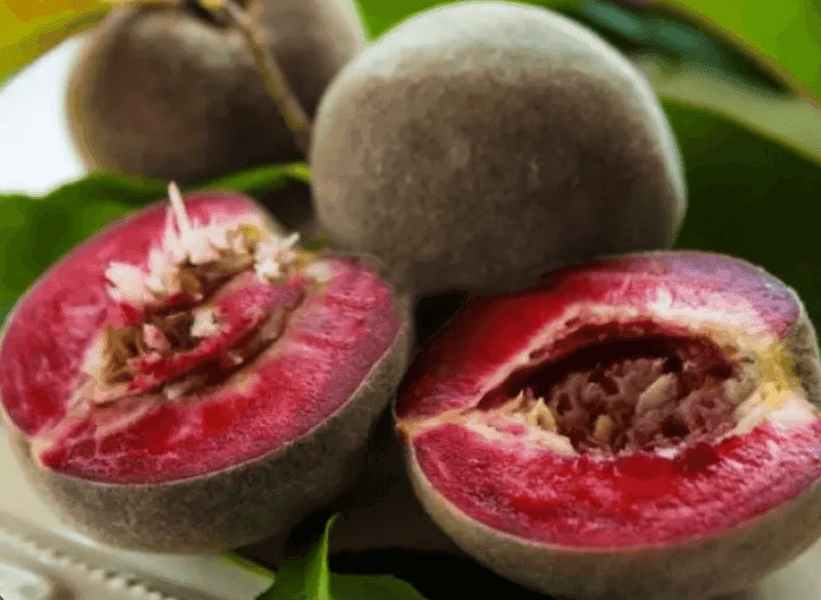 Саджанці персика Еритрокарпа (GP)