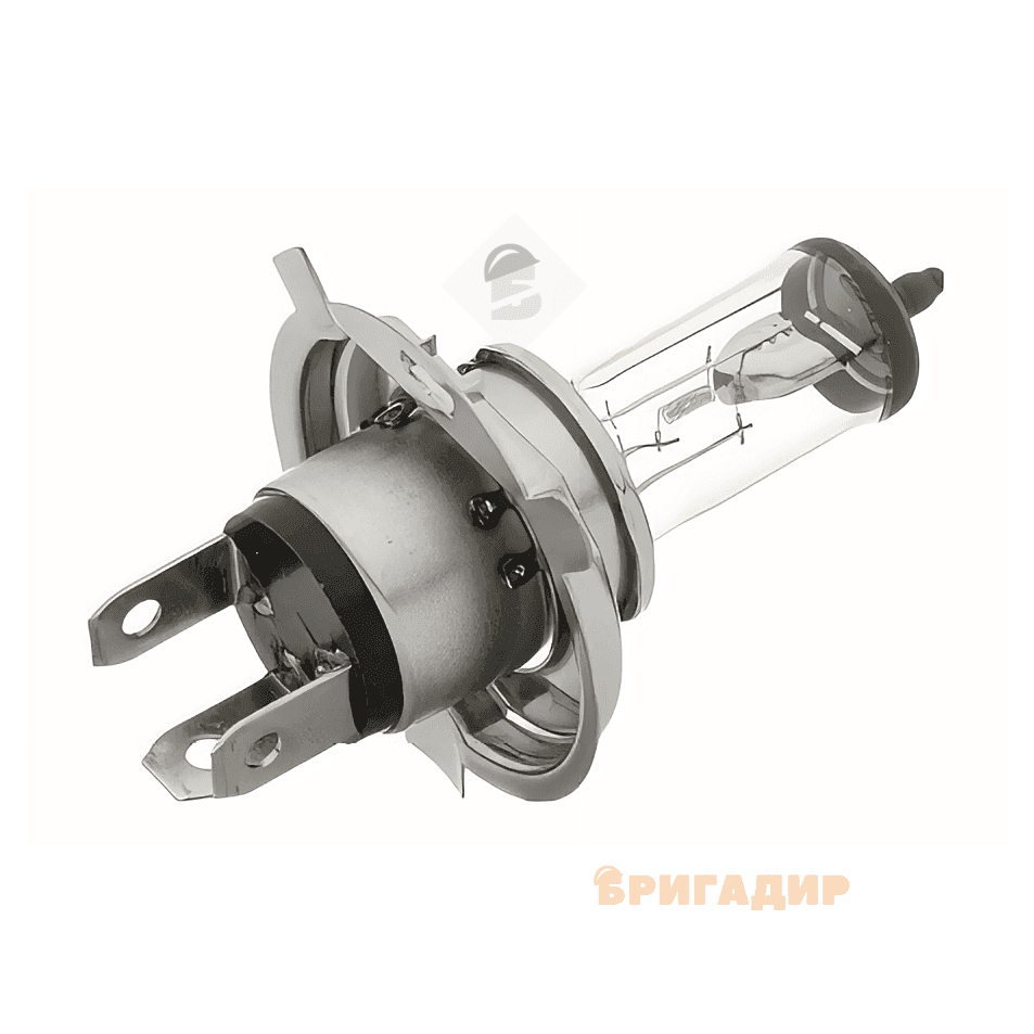 H4 12V 55W P26s [Standard Halogen Lamps]