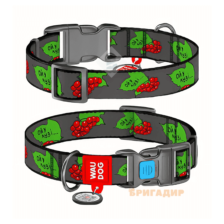 4504-0228 Нашийник WAUDOG Nylon з малюнком "Калина" пластик-фастекс,(ш.25,д 35-58см)
