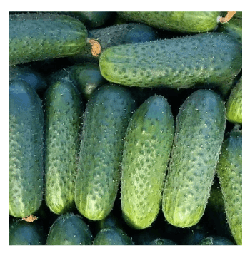 Насіння Огірок (ранній) Саунд F1 50 шт., Німеччина