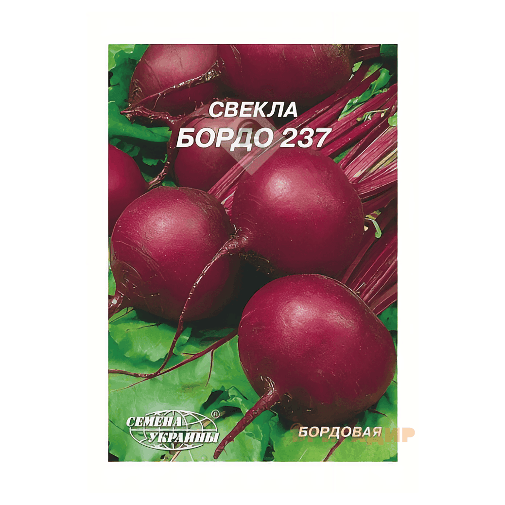 Буряк Бордо 20г