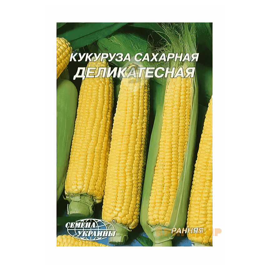 Кукурудза Делікатесна