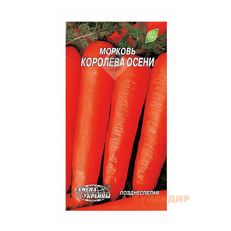 Морква Королева Осені