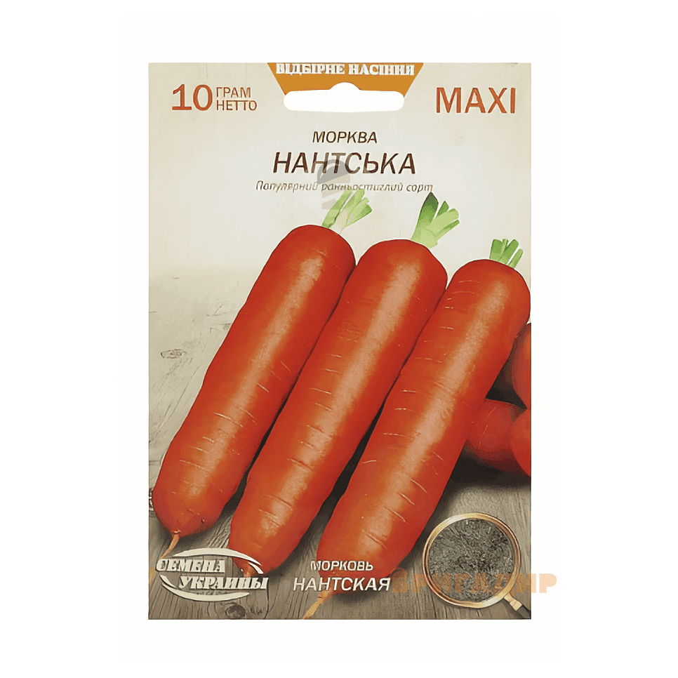 Морква Нантська