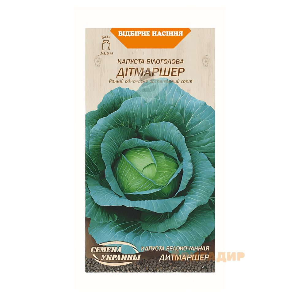 Капуста білоголова Дитмаршер Фрюер