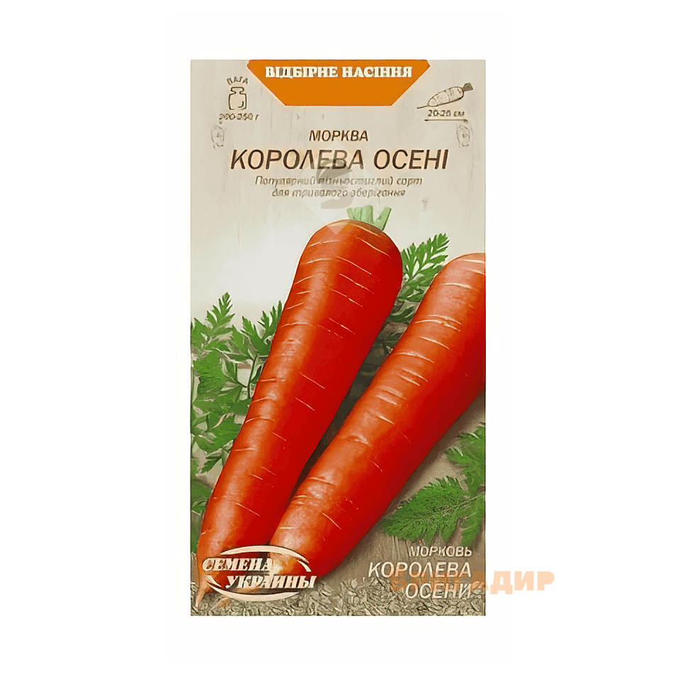 Морква Королева осені