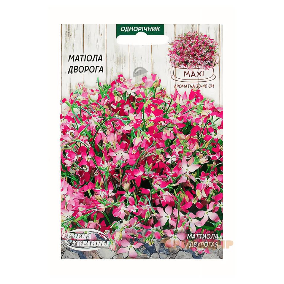 Матіола дворога