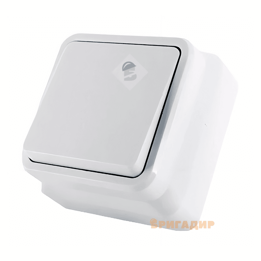 Вимикач зовнішній Білорусія 454031 з рамкою