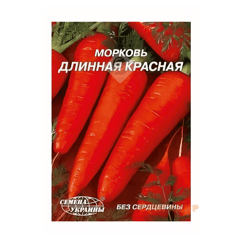 Морква Довга Червона