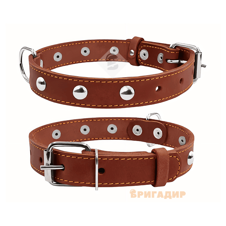 Нашийник подвійний Collar 02816