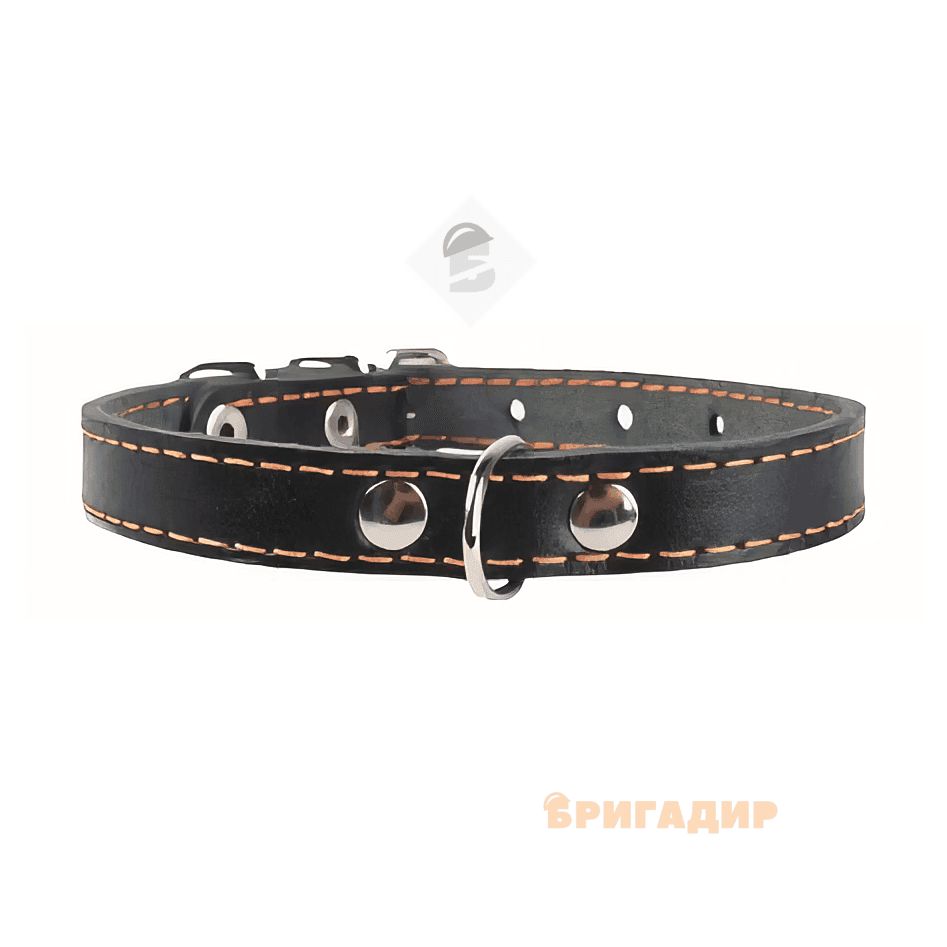 Нашийник одинарний чорний