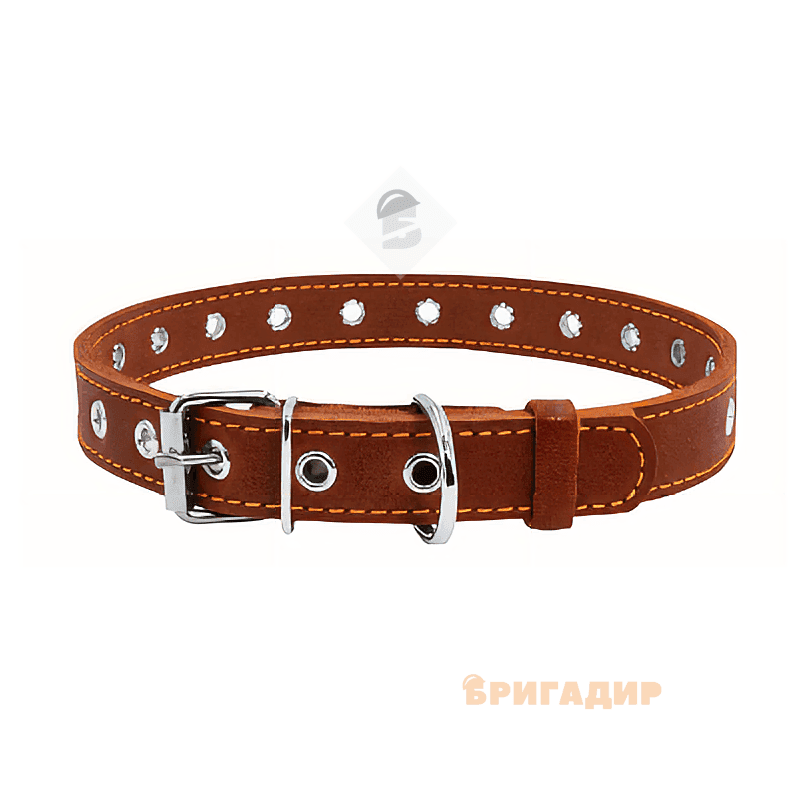 Нашийник безрозмірний коричневий