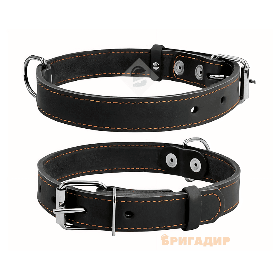 Нашийник чорний