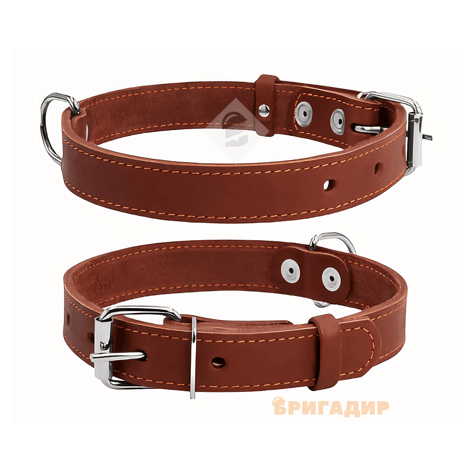 Коричневий нашийник Collar