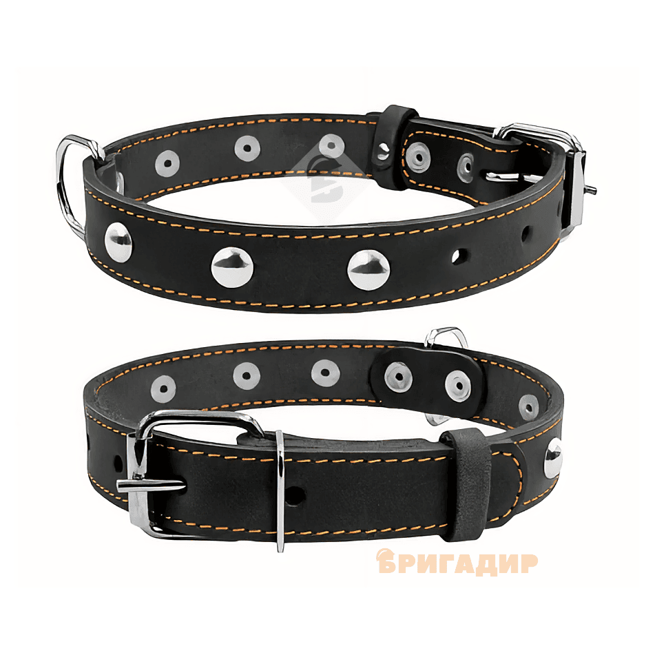 Нашийник подвійний з прикрасами чорний