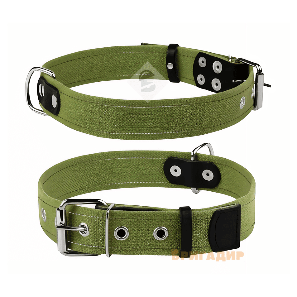 Нашийник брезентовий Collar