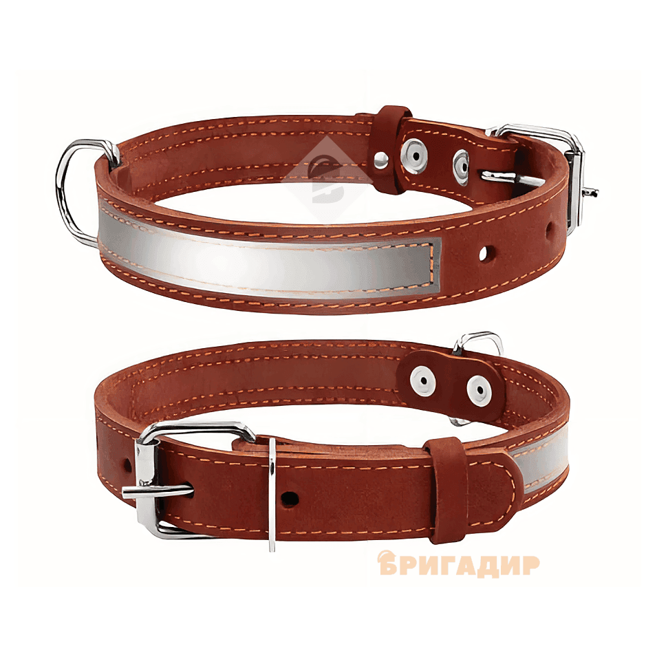 Світловідбивний нашийник