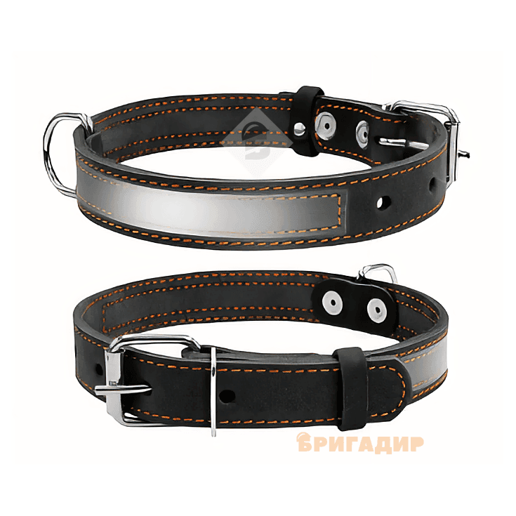 Нашийник з світловідбивною стрічкою Collar