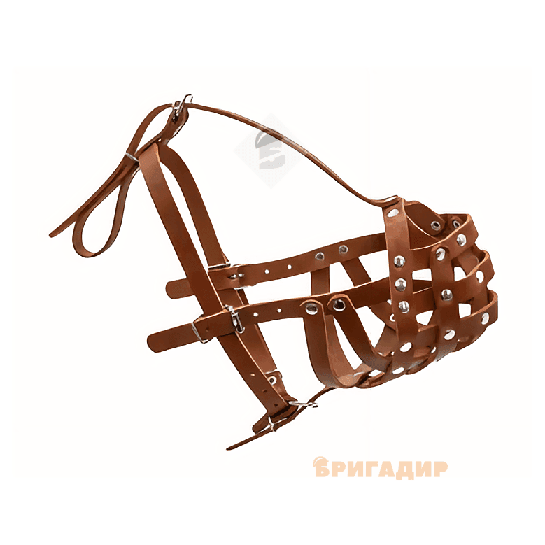 Намордник твердий ротвейлер мал. коричневий Collar