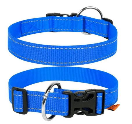 Нашийник подвійний нейлоновий світловідбиваючий синій Dog Extreme