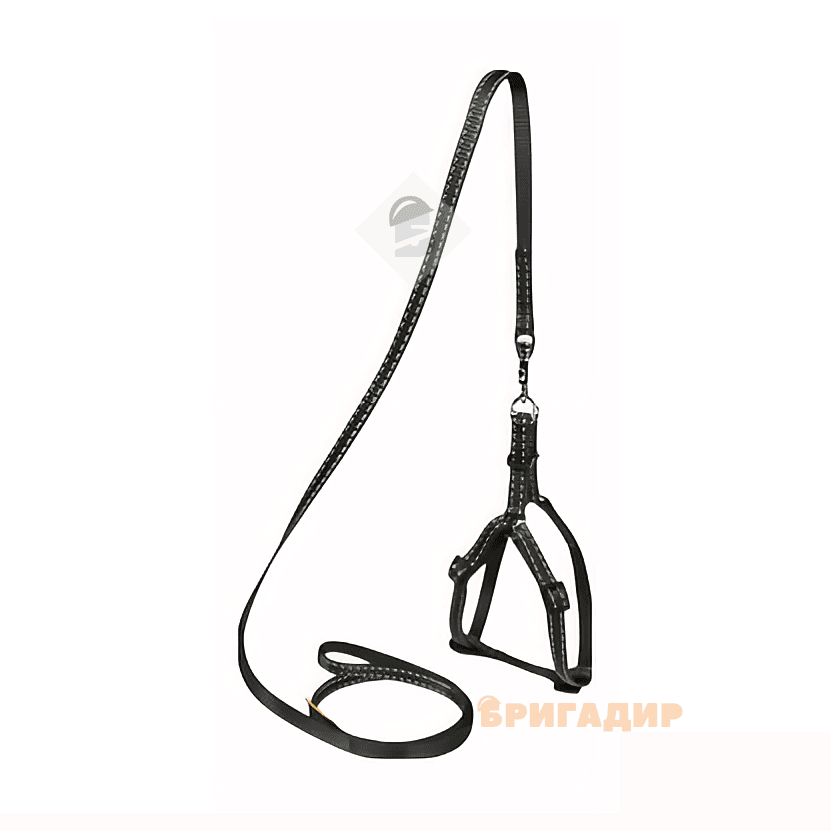 Шлея та повідок 