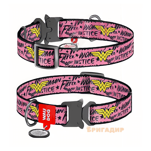 Нашийник WAUDOG Nylon Диво-жінка