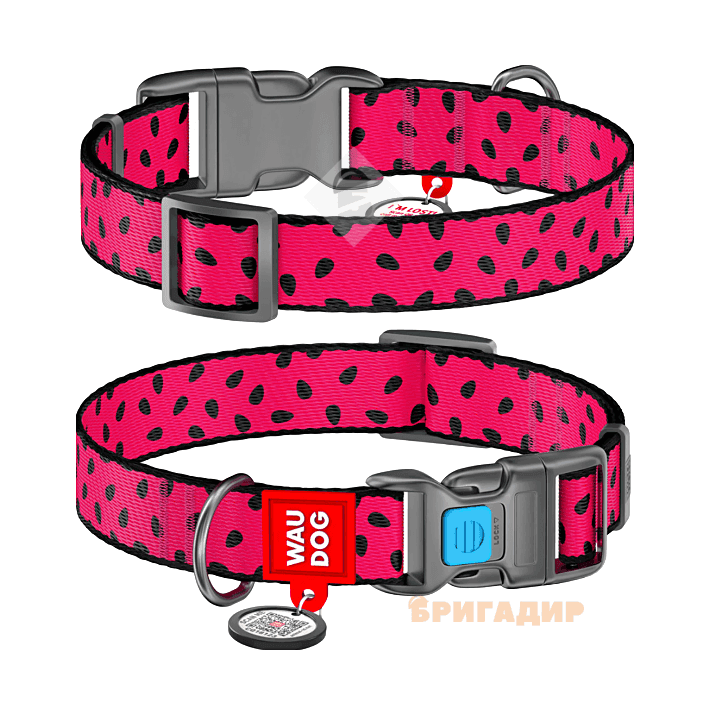 Нашийник WAUDOG Nylon з малюнком \