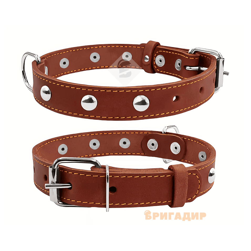 Нашийник одинарний з прикр. коричневий
