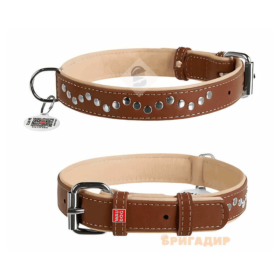 Нашийник подвійний з прикрасами 