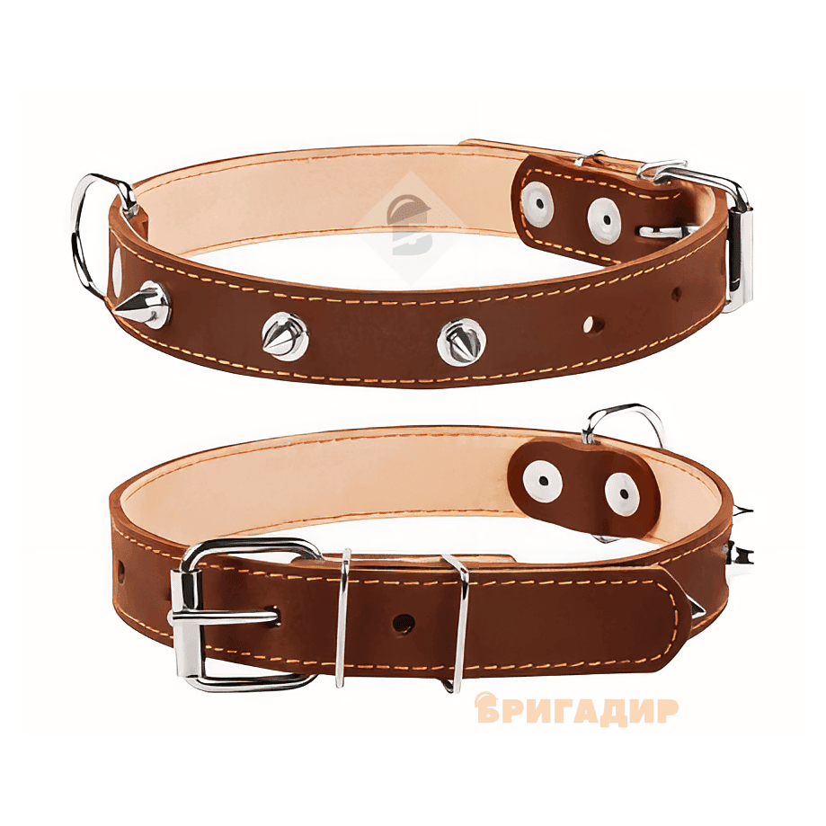 Нашийник подвійний з шипами коричневий
