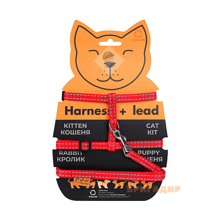 Шлея та повідок 