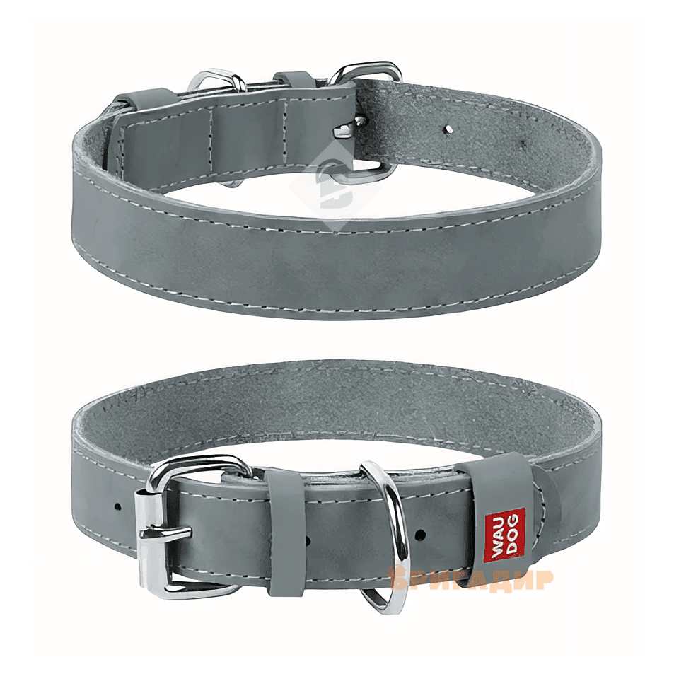 Нашийник WAUDOG Classic