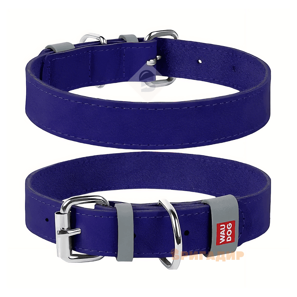 Нашийник WAUDOG Classic
