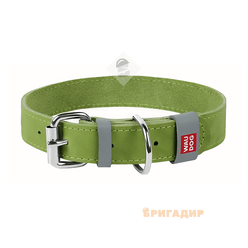 Нашийник WAUDOG Classic шкіра, металева пряжка