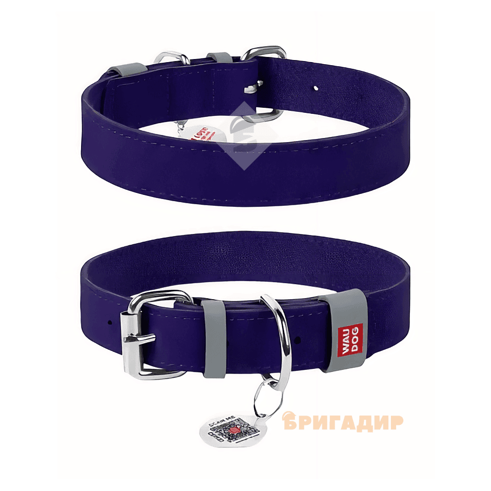 Нашийник WAUDOG Classic