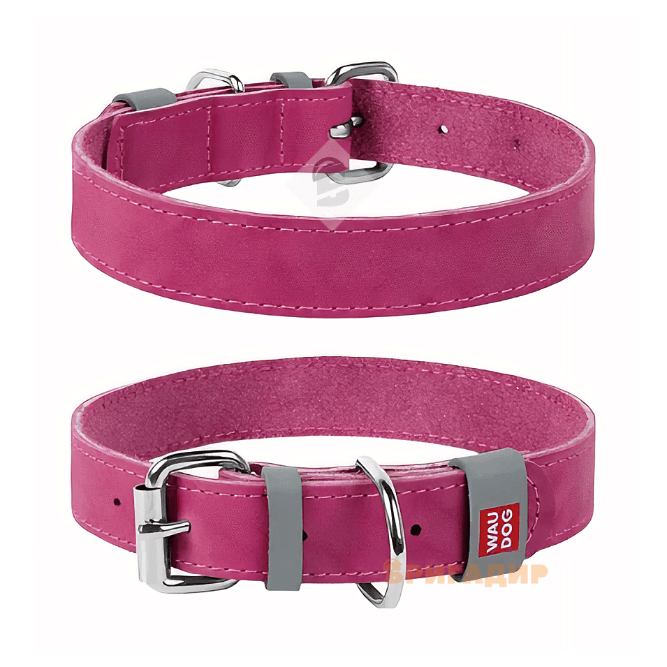 Нашийник WAUDOG Classic