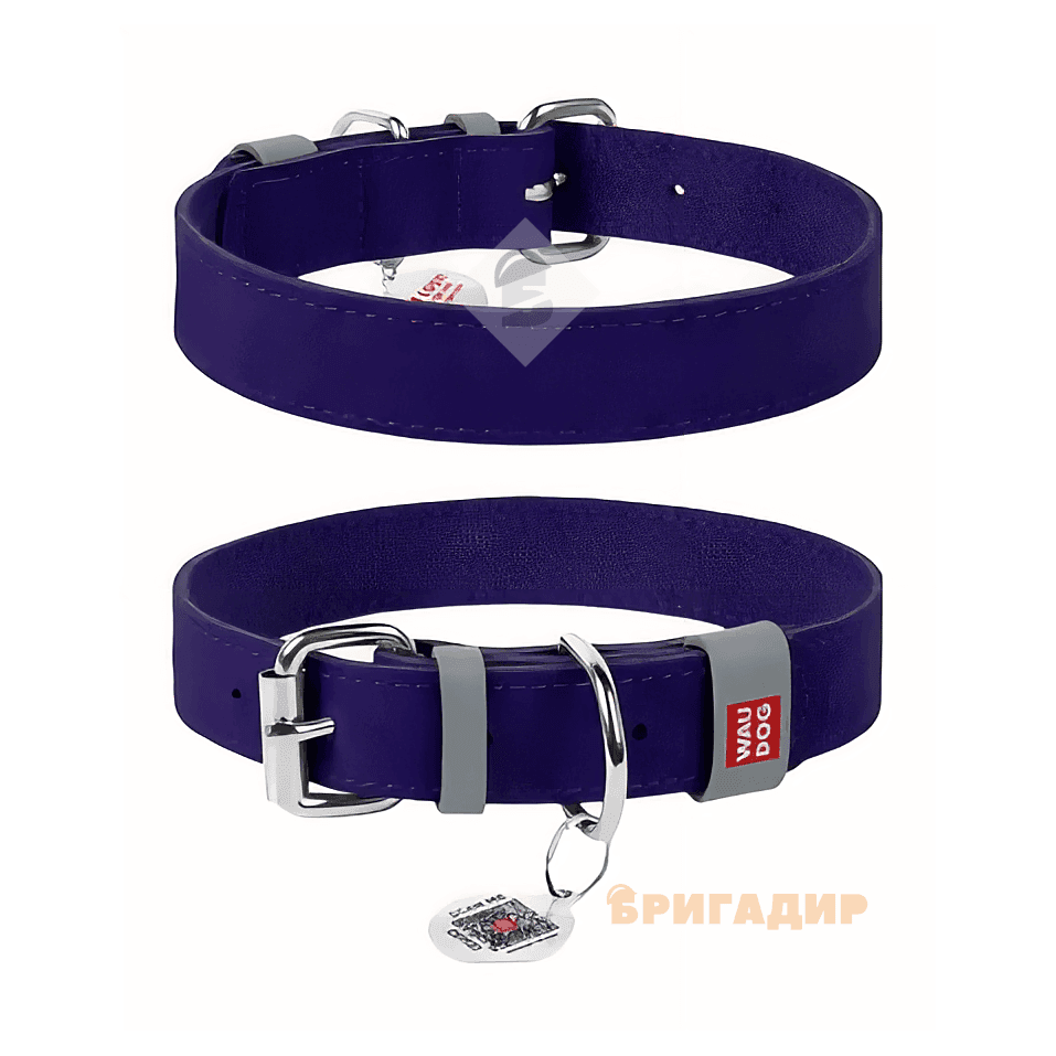 Нашийник WAUDOG Classic