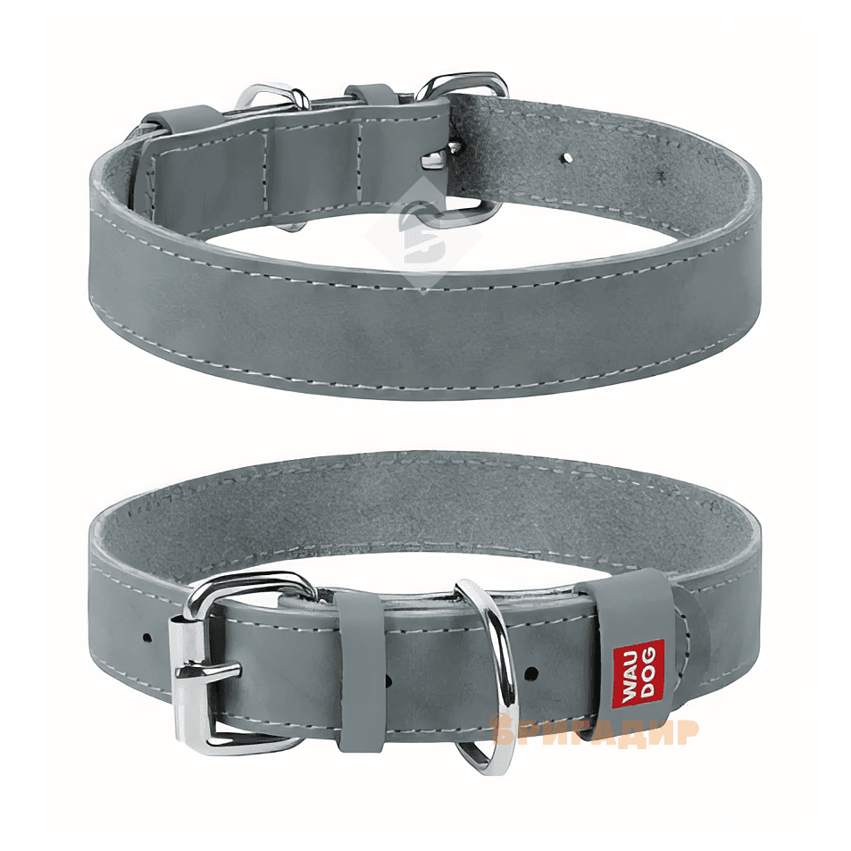 Нашийник WAUDOG Classic