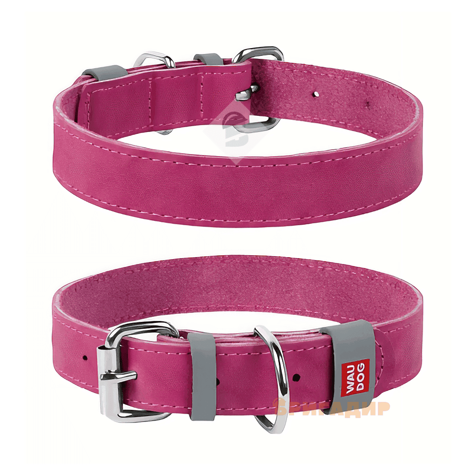 Нашийник WAUDOG Classic