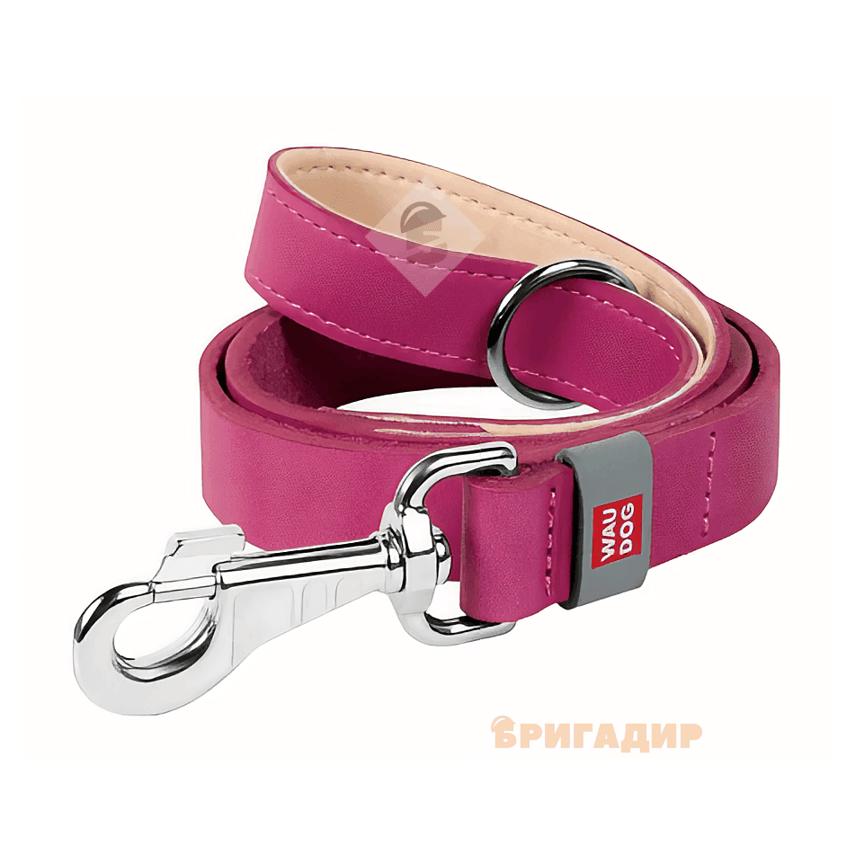 Повідець WAUDOG Classic