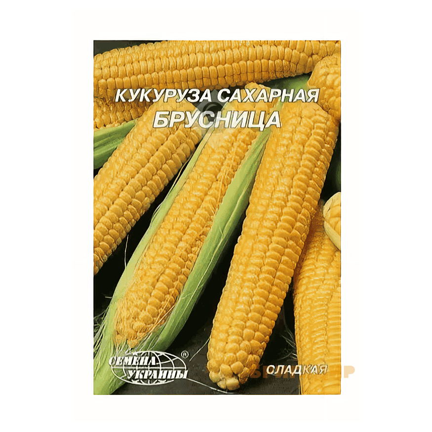 Кукурудза Брусниця