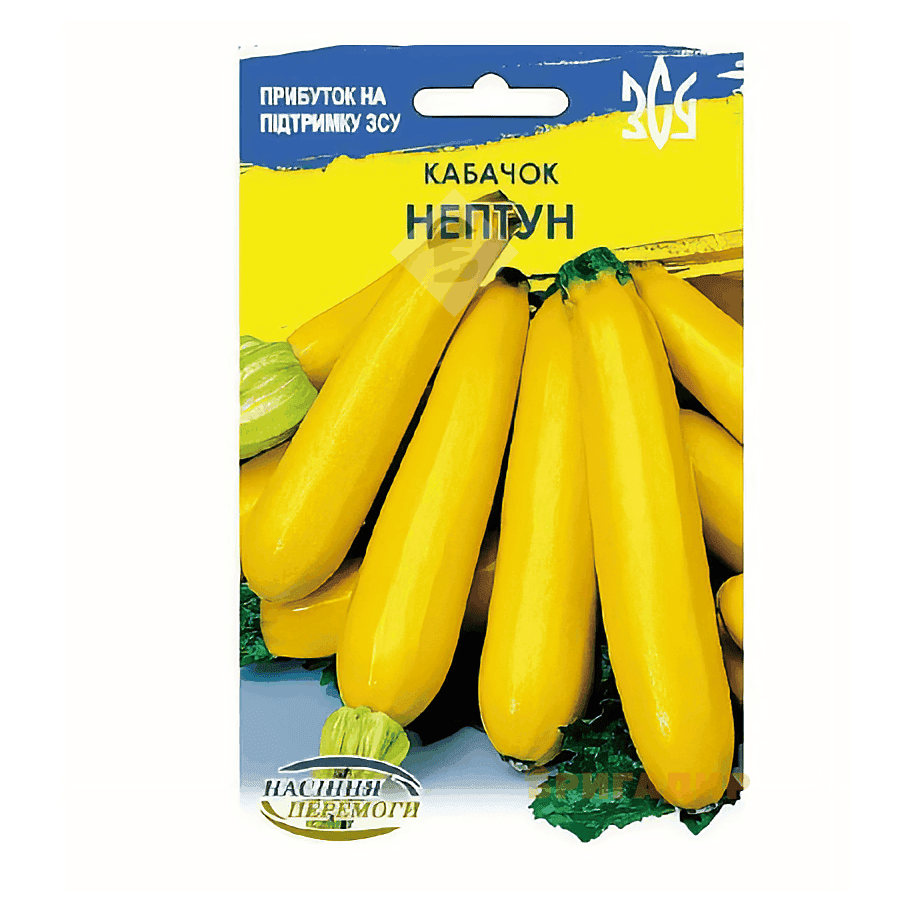 Кабачок Нептун