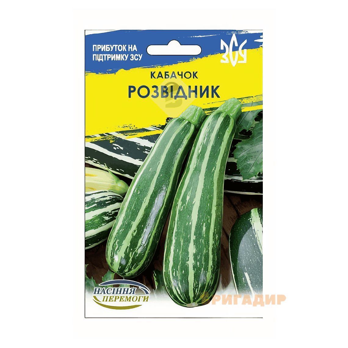 Кабачок Розвідник