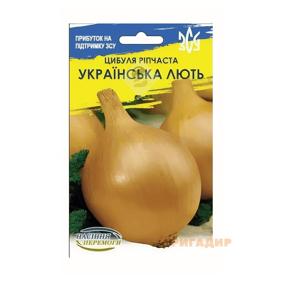 Цибуля Українська лють