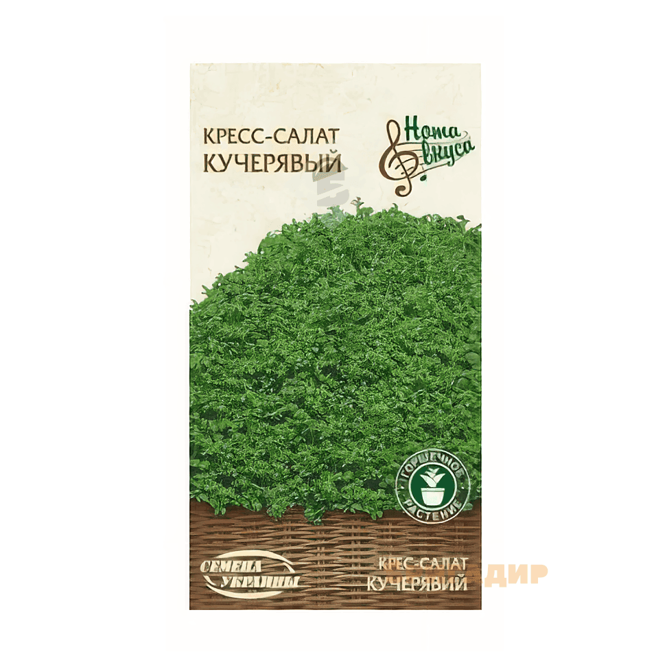 Крес салат Кучерявий