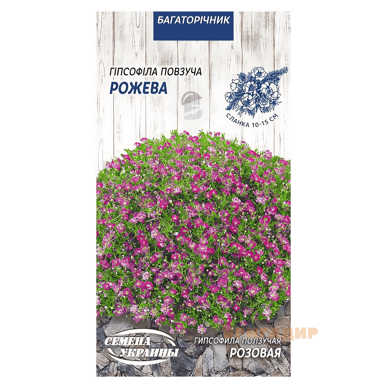 Гіпсофіла повзуча рожева