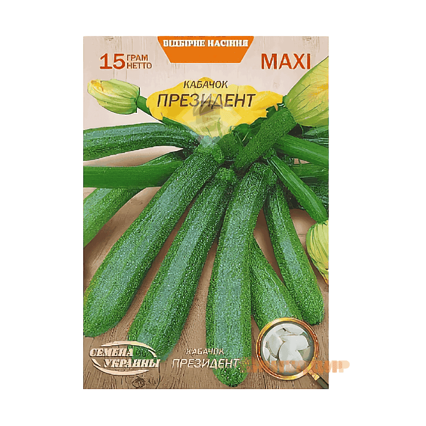 Кабачок президент